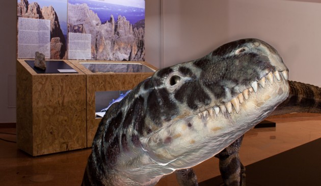 Dinomiti T 543861583 Parte la stagione culturale estiva del Museo Geologico delle Dolomiti di Predazzo