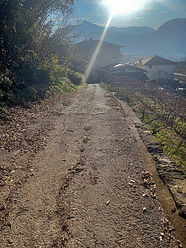 lavis-strada-canon-2-1.jpg