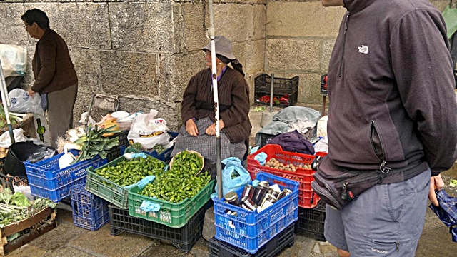 peperoncini-2.jpg