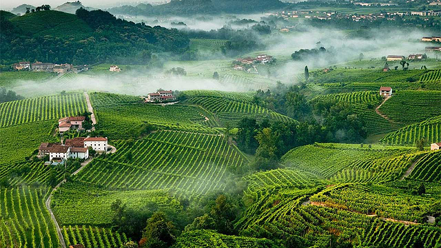 2-le-dolci-colline-del-prosecco-tutelate-dallunesco-come-patrimonio-dell-umanita.jpg