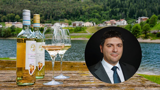 5-stefano-sequino-direttore-del-consorzio-vini-doc-delle-venezie.jpg