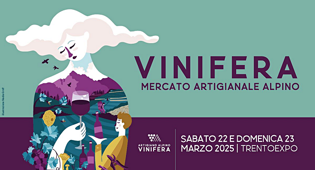 8-vinifera.png
