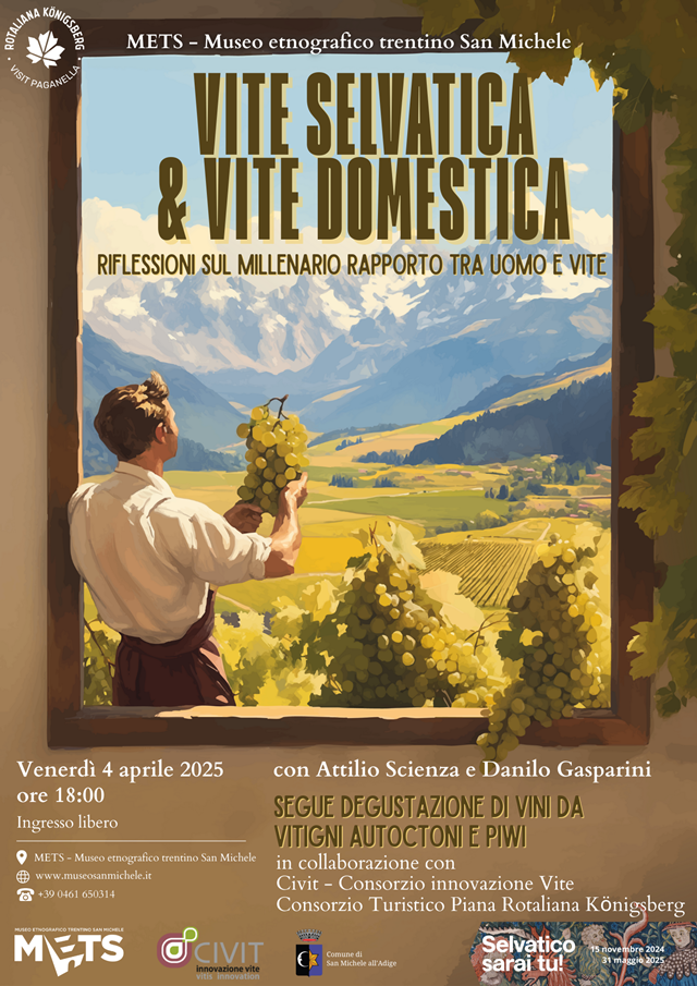 l-vite-selvatica-e-vite-domestica.png