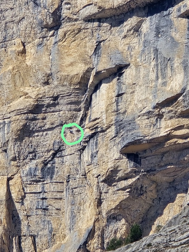 soccorso-img-20250331-wa0013.jpg