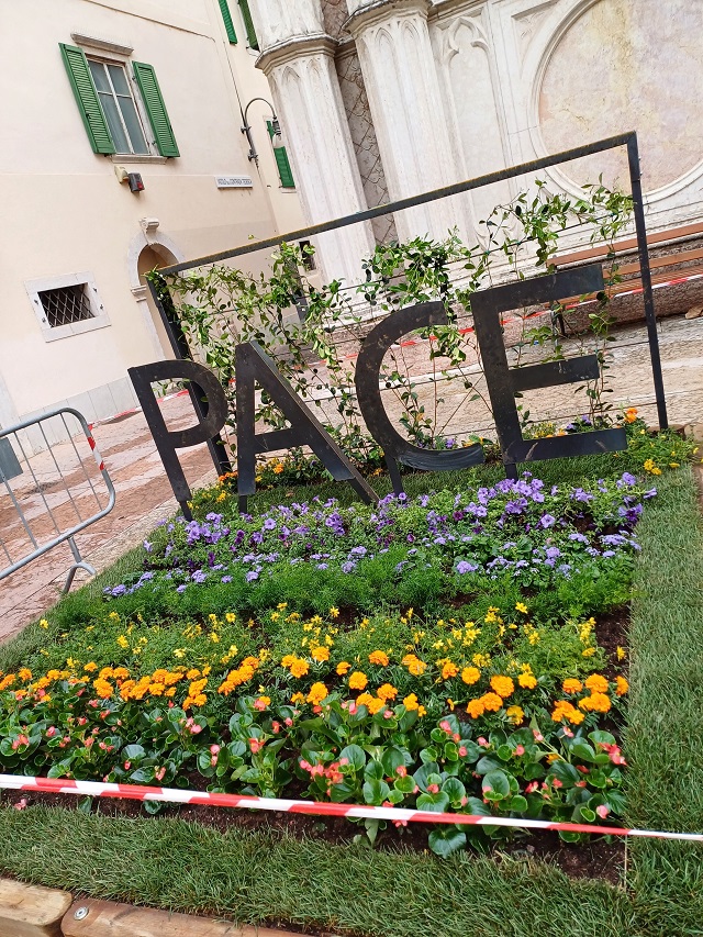 tn-fiori-al-centro-2.jpg