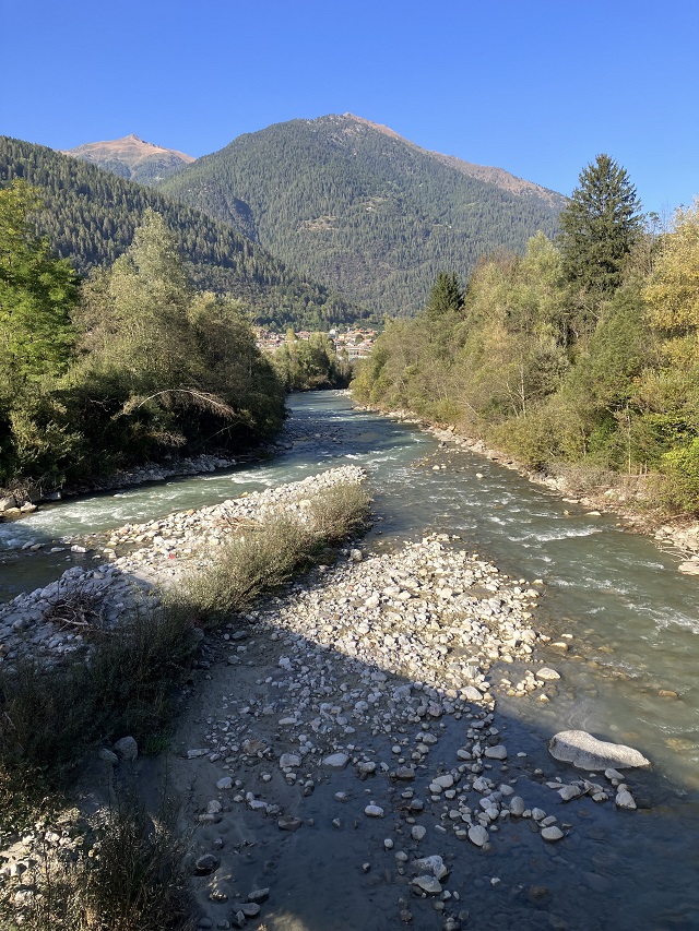 torrente-noce-val-di-sole-alveo-con-isole-naturali-e-fasce-arboree-riparie-ben-sviluppate.jpg