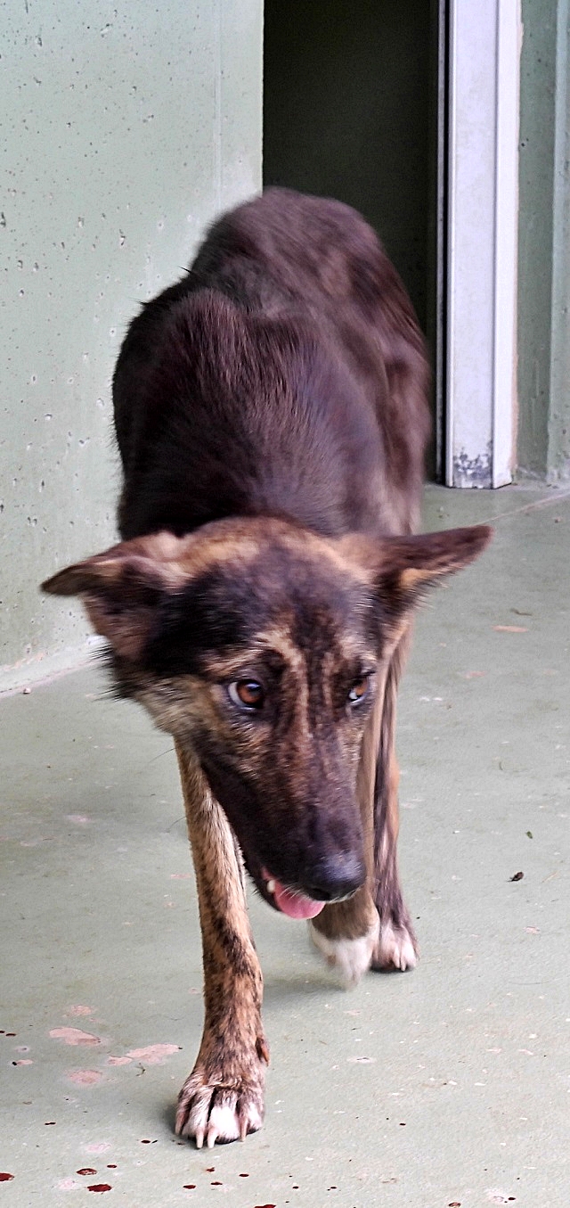 cane-dscn1061.JPG