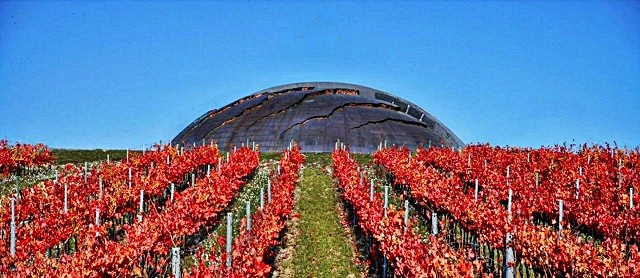 carapace-di-pomodoro-2_inpixio.jpg
