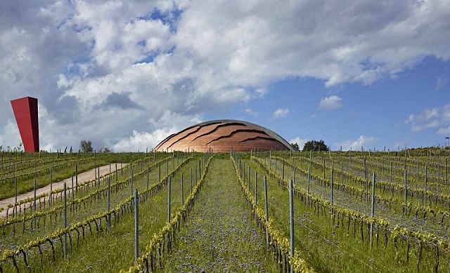 carapace-di-pomodoro.jpg