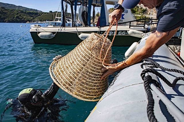 2-le-ceste-immerse-nel-mare-dell-isola-d-elba-da-antonio-arrighi-che-produce-il-vino-marino-nesos.jpg