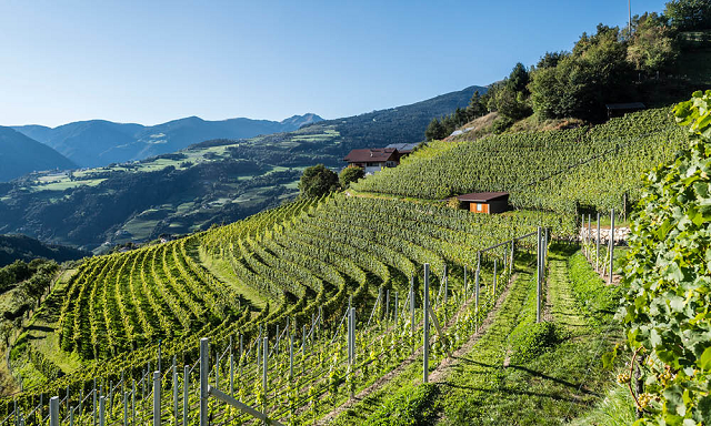 3-gli-splendidi-vignti-della-cantina-valle-isarco-di-chiusa.jpg