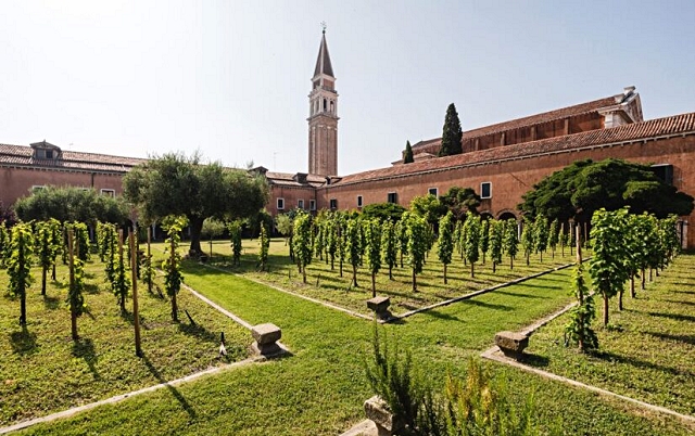 4-venezia-il-vigneto-dell-antico-convento-di-san-francesco-nel-cuore-della-citta-lagunare.jpg