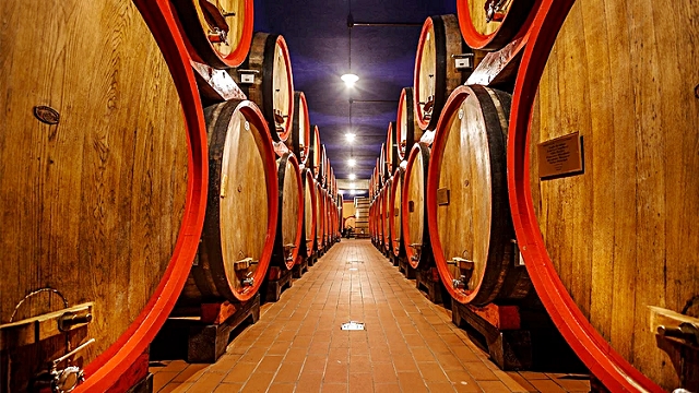 5-la-storica-bottaia-dove-nascono-le-iconiche-etichette-amarone-del-gruppo-masi.jpg