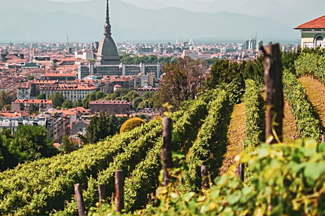6-torino-la-vigna-della-regina-a-due-passi-dalla-mole-antonelliana.jpg