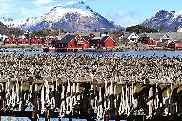 7-le-rastrelliere-dove-vengono-essicati-i-merluzzi-nei-villaggi-delle-isole-lofoten-in-norvegia.jpg