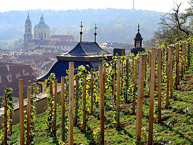 8-praga-il-vigneto-di-san-venceslao-nell-antico-quartiere-di-mala-strana.jpg