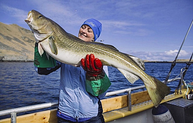 8-un-merluzzo-gigante-delle-lofoten-che-essicato-sulle-rastrelliere-diventera-stoccafisso.jpg