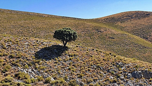 10-prima-di-talamantes.jpg