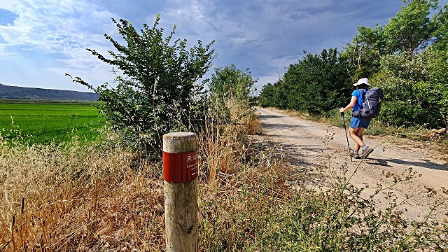 4-il-cammino-naturale-dellebro.jpg