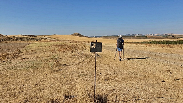8-la-segnaletica-lungo-i-rettilinei.jpg