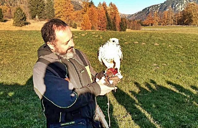 falconeria-3.jpg