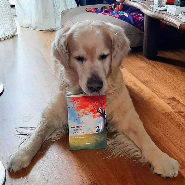 foto-del-cane-di-martina-con-libro.jpg