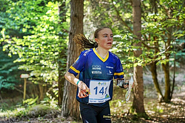 orienteering-bv2a2014.jpg