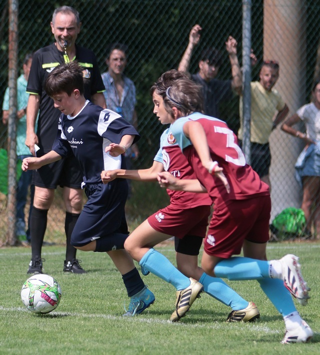 pulcino-doro-12-giugno-_1-1.jpg