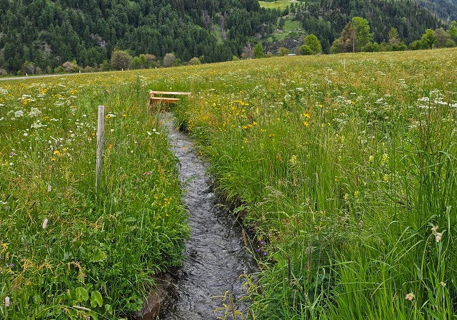 wiesenwassern_burgeis_1.jpg