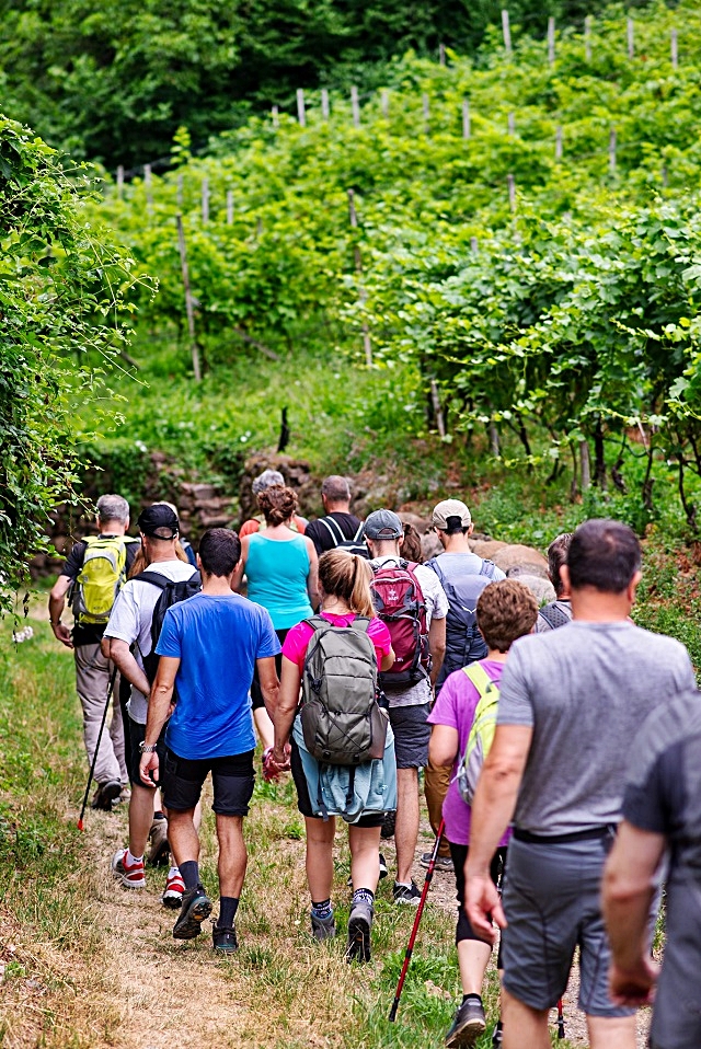 muller-trekking-3.jpg