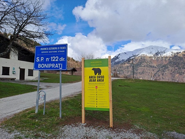 bear-area-2.jpg