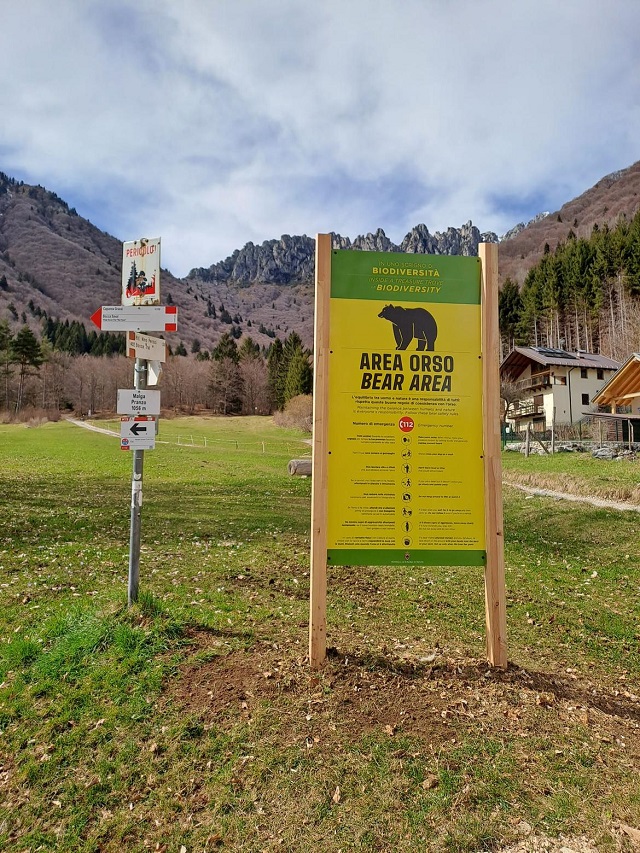 bear-area-v.jpg