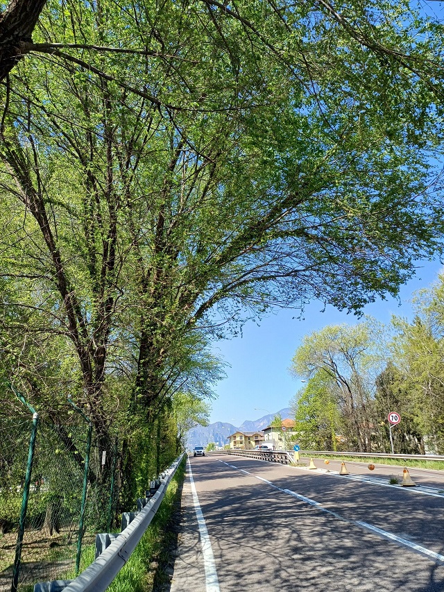 via-bolzanorsz_20250408_143925.jpg