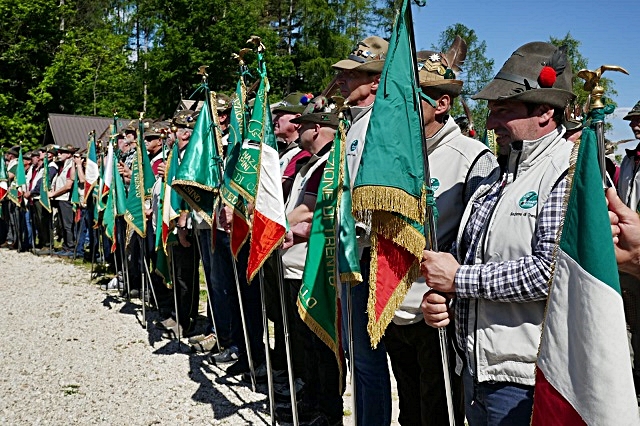 alpini-albere-13.jpg