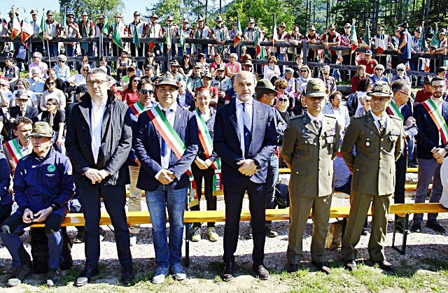 alpini-albere-15.jpg