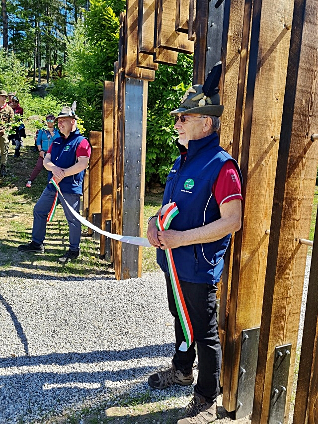 alpini-albere-9.jpg