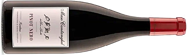8-il-pinot-nero-di-maso-cantanghel-1-del-trentino.jpg