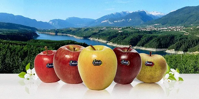 8-passerella-milanese-dal-5-all-8-maggio-anche-per-melinda-al-salone-tuttofood.jpg