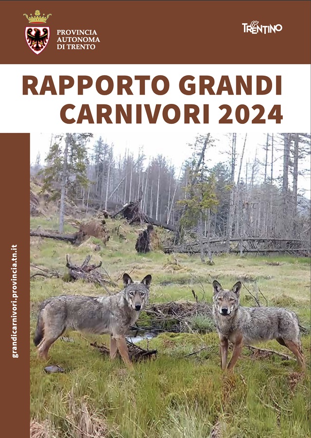 grandi-carnivori-copertina.jpg