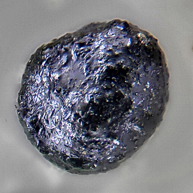 micro-micrometeorite-foto-claudio-tagliari-2.jpg