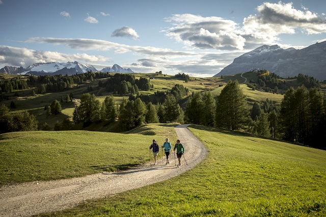 montagna-estiva.jpg