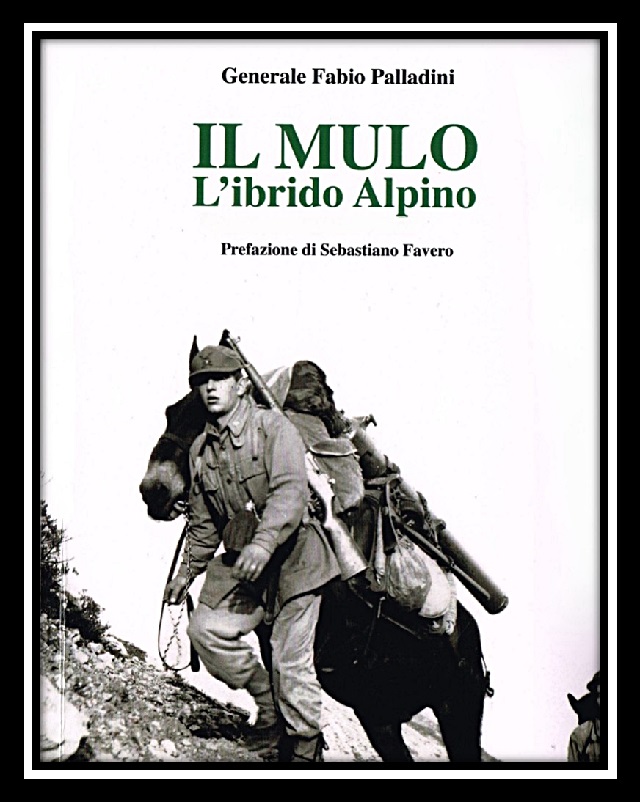 mulo-alpino.jpg