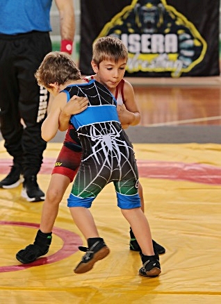 wrestling-2.jpg